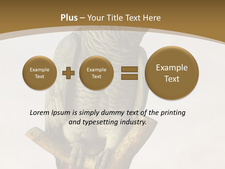Closeup Attentive Avian PowerPoint Template