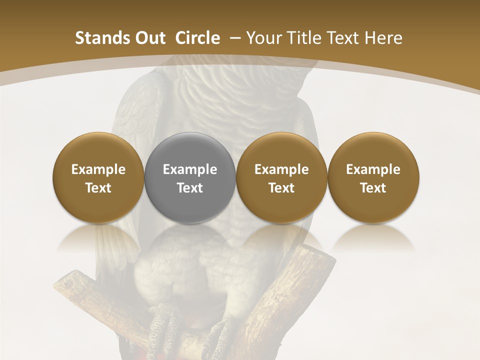 Closeup Attentive Avian PowerPoint Template