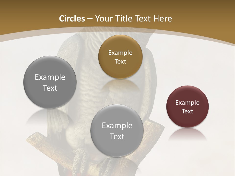 Closeup Attentive Avian PowerPoint Template