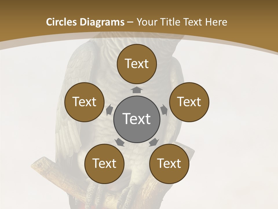 Closeup Attentive Avian PowerPoint Template