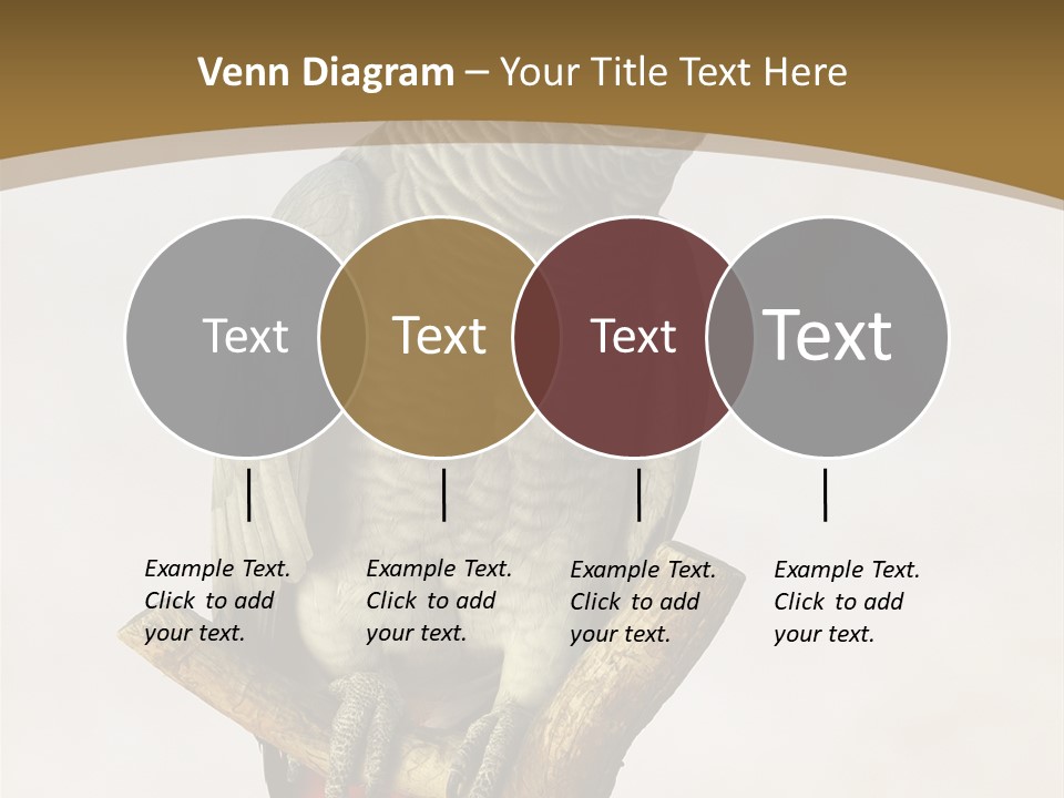 Closeup Attentive Avian PowerPoint Template
