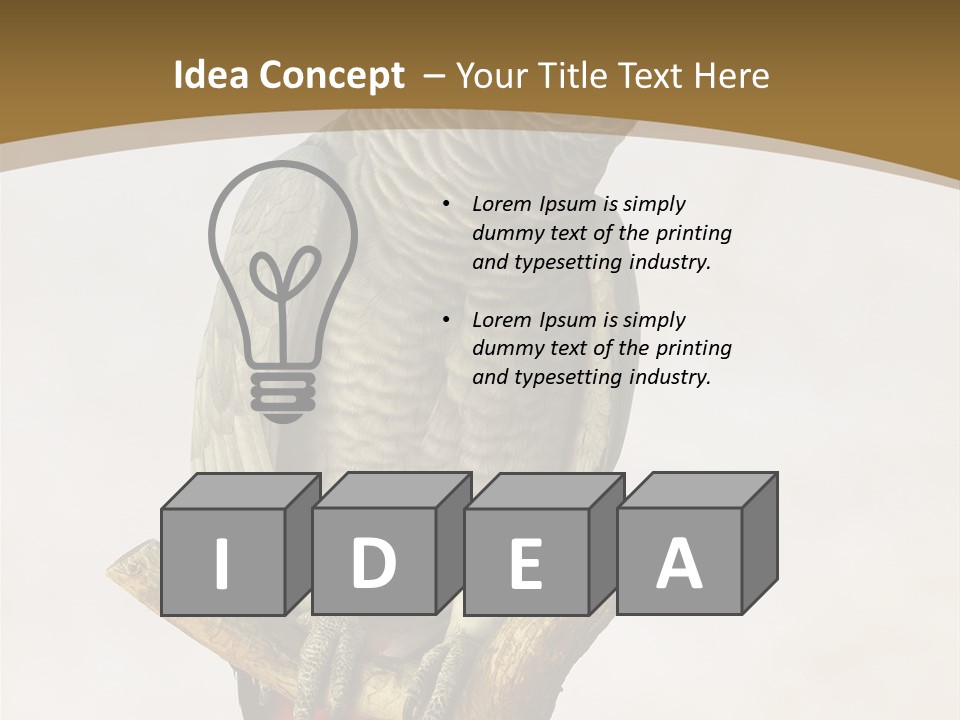 Closeup Attentive Avian PowerPoint Template