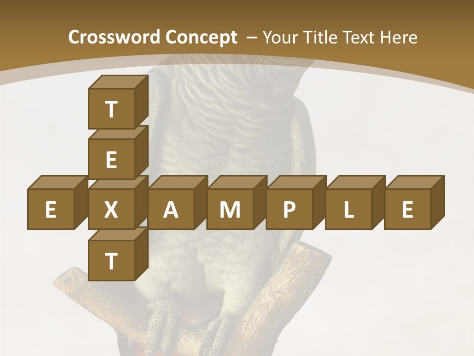 Closeup Attentive Avian PowerPoint Template