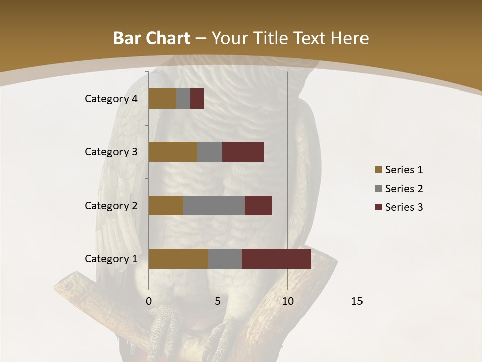 Closeup Attentive Avian PowerPoint Template