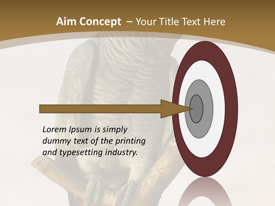 Closeup Attentive Avian PowerPoint Template