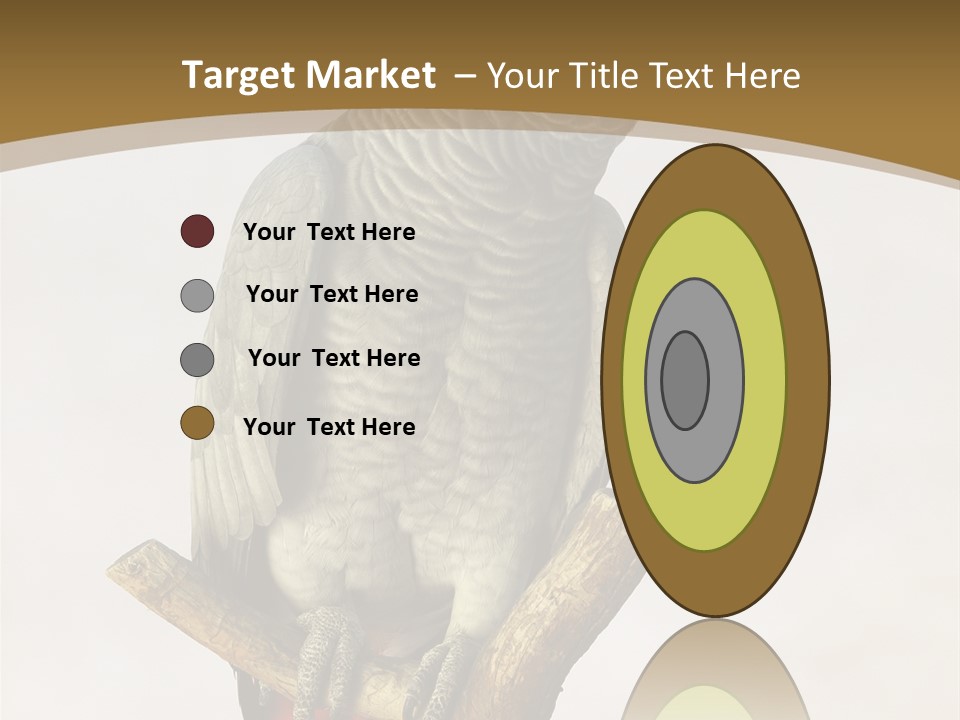 Closeup Attentive Avian PowerPoint Template
