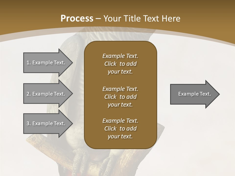 Closeup Attentive Avian PowerPoint Template