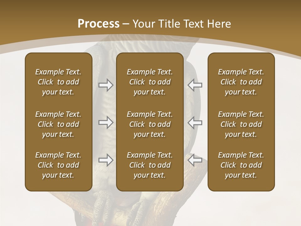 Closeup Attentive Avian PowerPoint Template