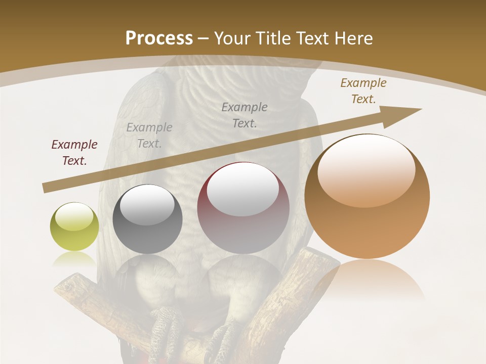 Closeup Attentive Avian PowerPoint Template