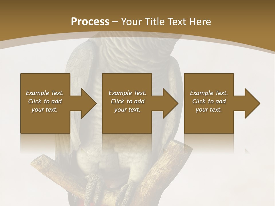 Closeup Attentive Avian PowerPoint Template