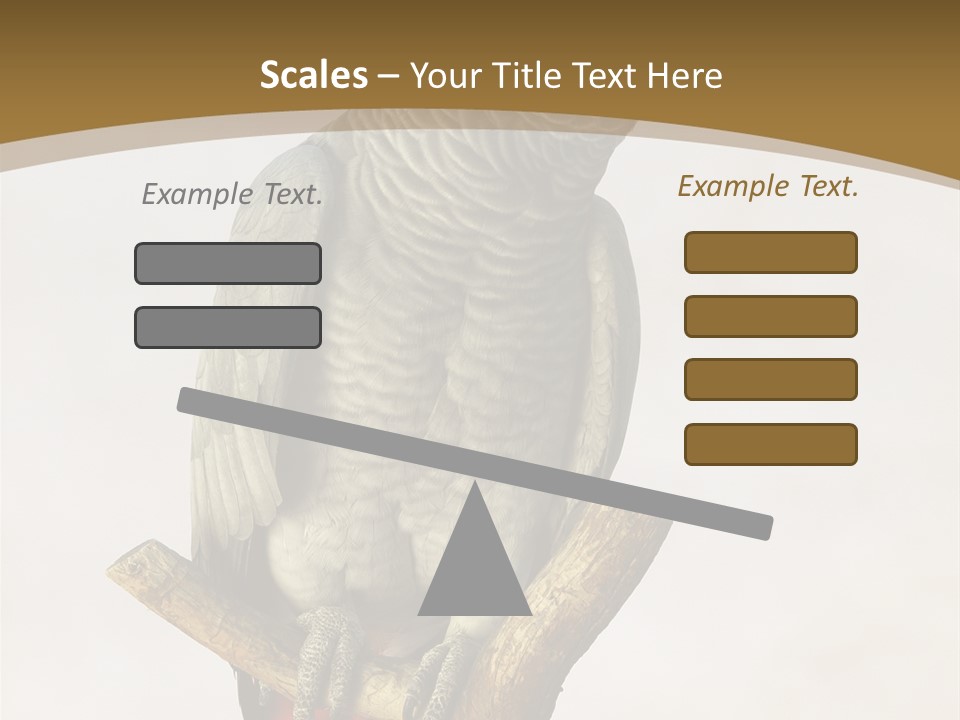 Closeup Attentive Avian PowerPoint Template