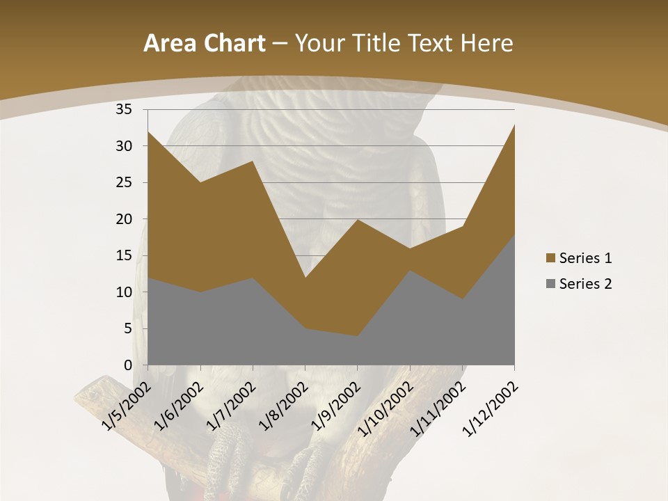 Closeup Attentive Avian PowerPoint Template