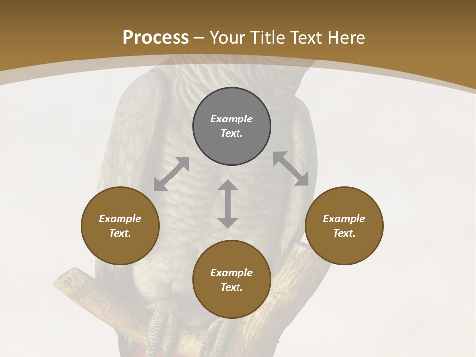 Closeup Attentive Avian PowerPoint Template