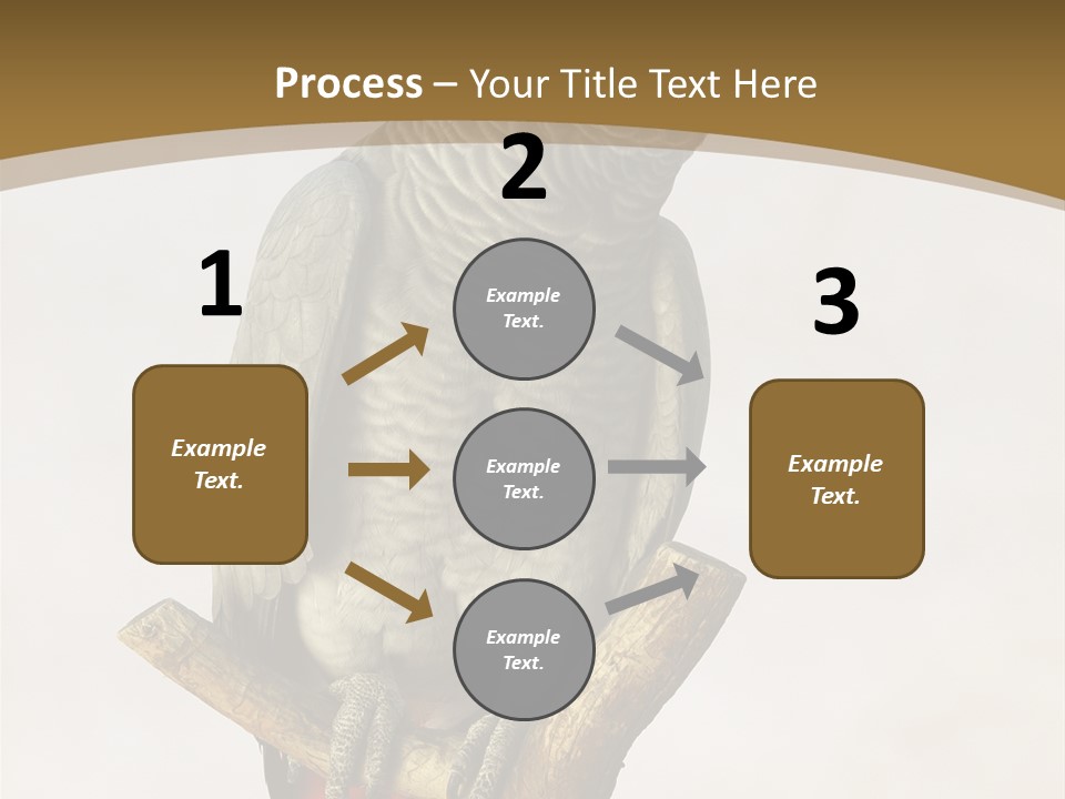Closeup Attentive Avian PowerPoint Template