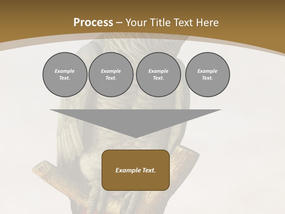 Closeup Attentive Avian PowerPoint Template