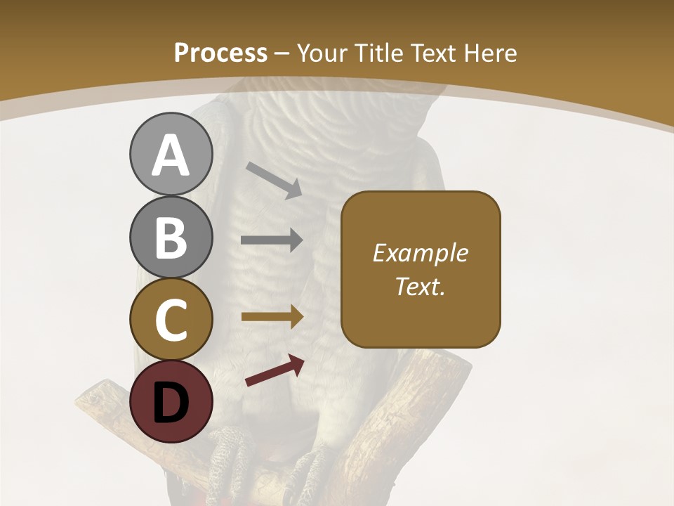 Closeup Attentive Avian PowerPoint Template