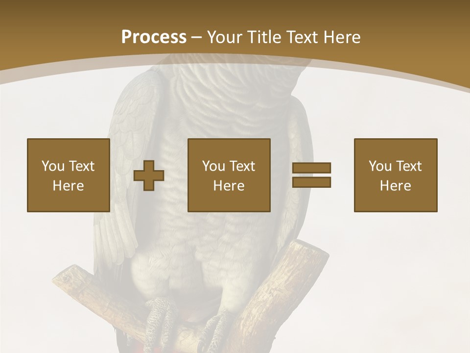 Closeup Attentive Avian PowerPoint Template