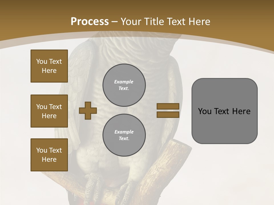 Closeup Attentive Avian PowerPoint Template
