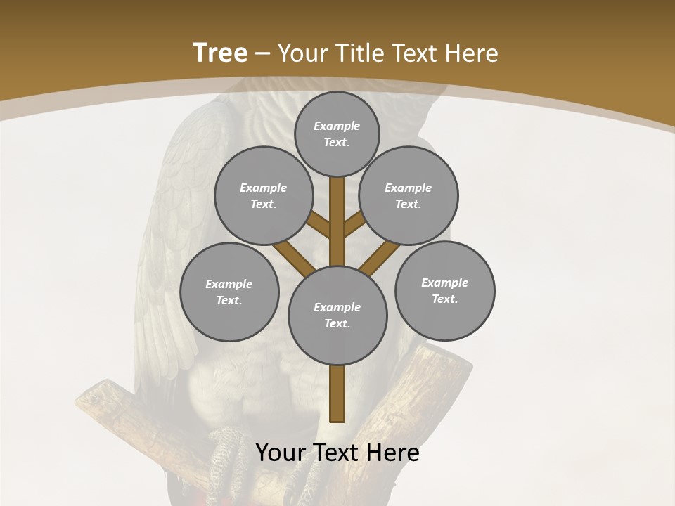 Closeup Attentive Avian PowerPoint Template