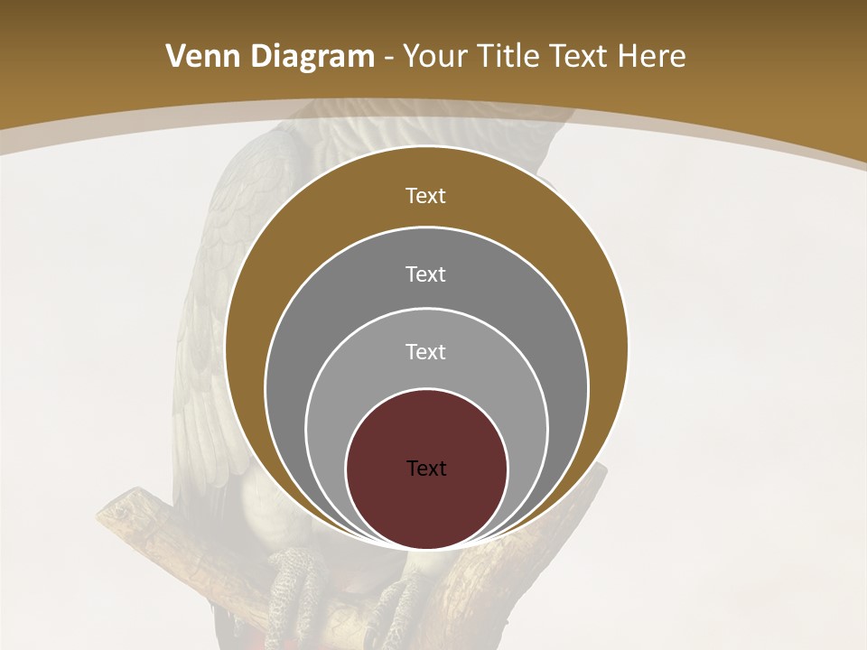 Closeup Attentive Avian PowerPoint Template