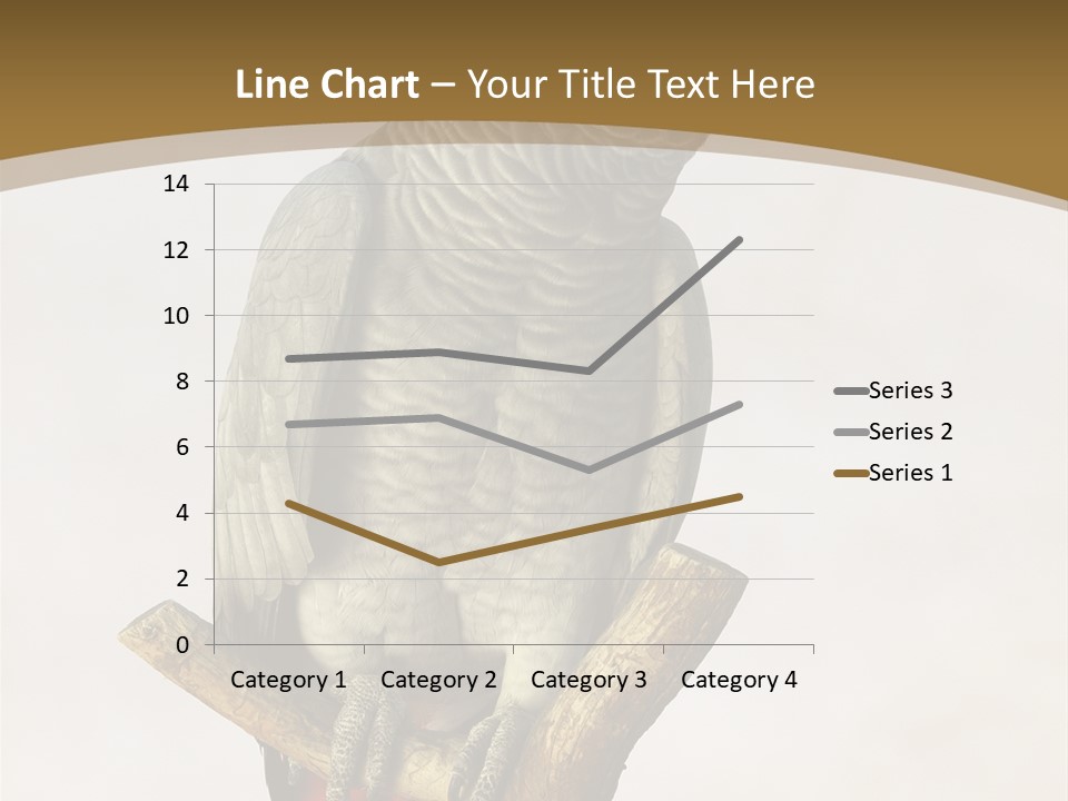 Closeup Attentive Avian PowerPoint Template