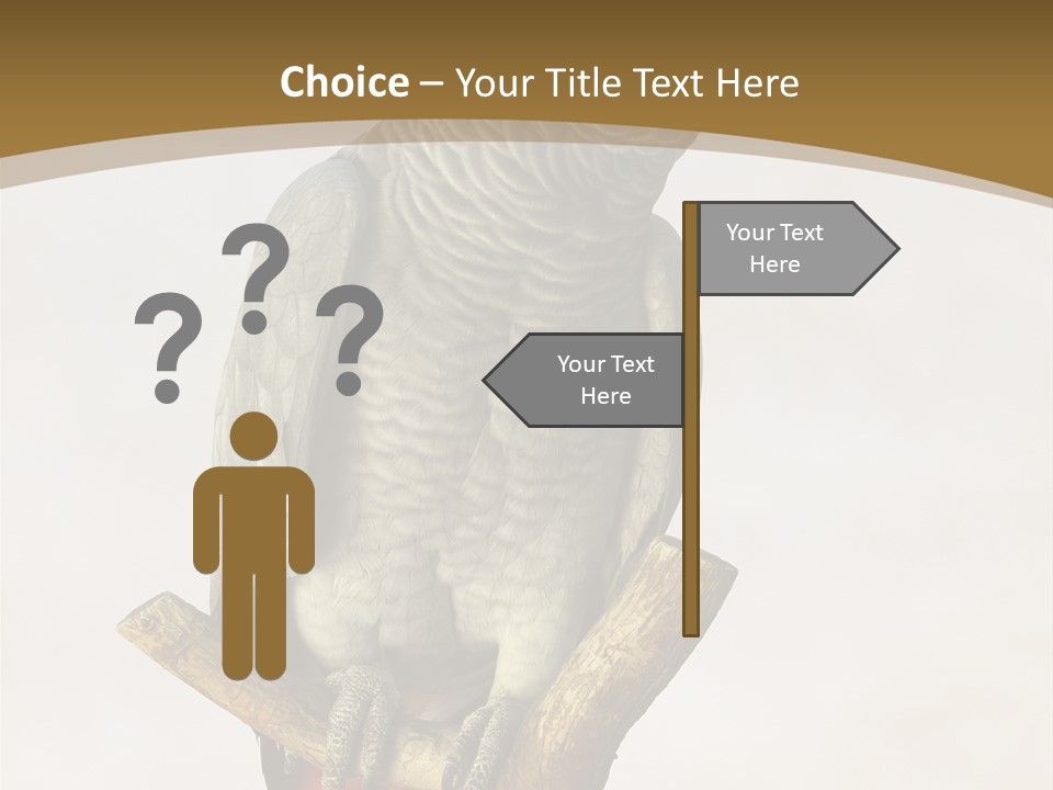 Closeup Attentive Avian PowerPoint Template