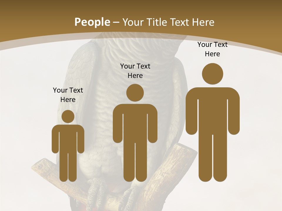 Closeup Attentive Avian PowerPoint Template