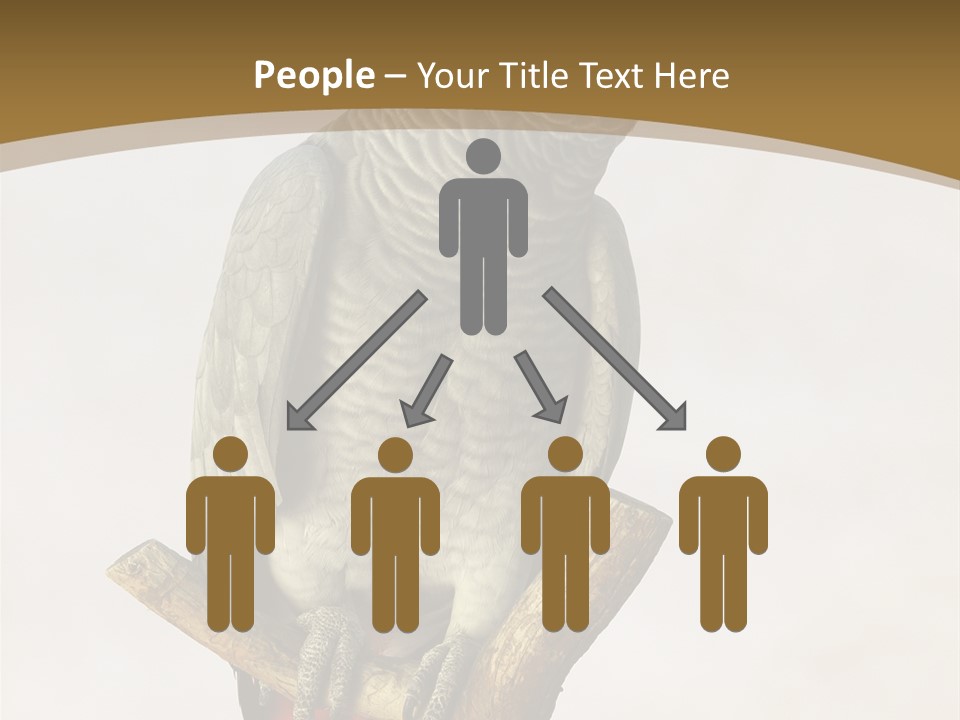 Closeup Attentive Avian PowerPoint Template