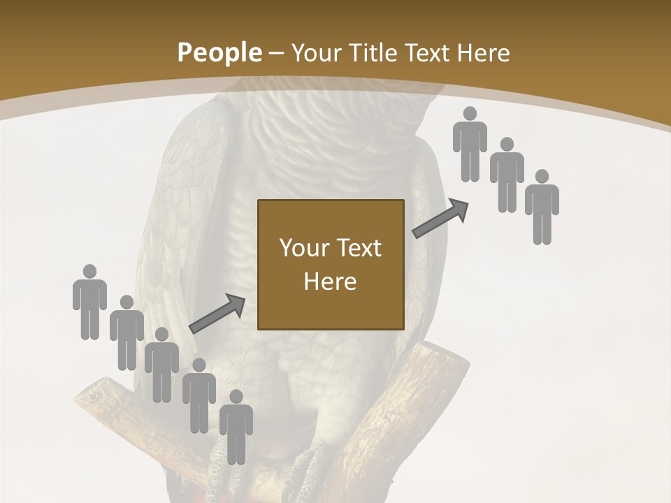 Closeup Attentive Avian PowerPoint Template