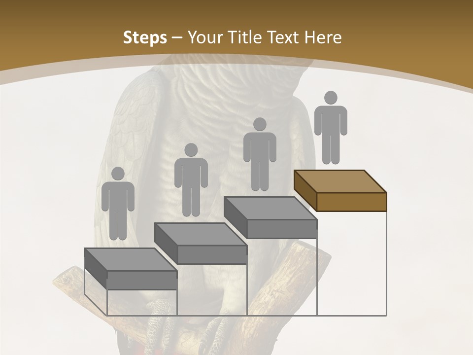 Closeup Attentive Avian PowerPoint Template