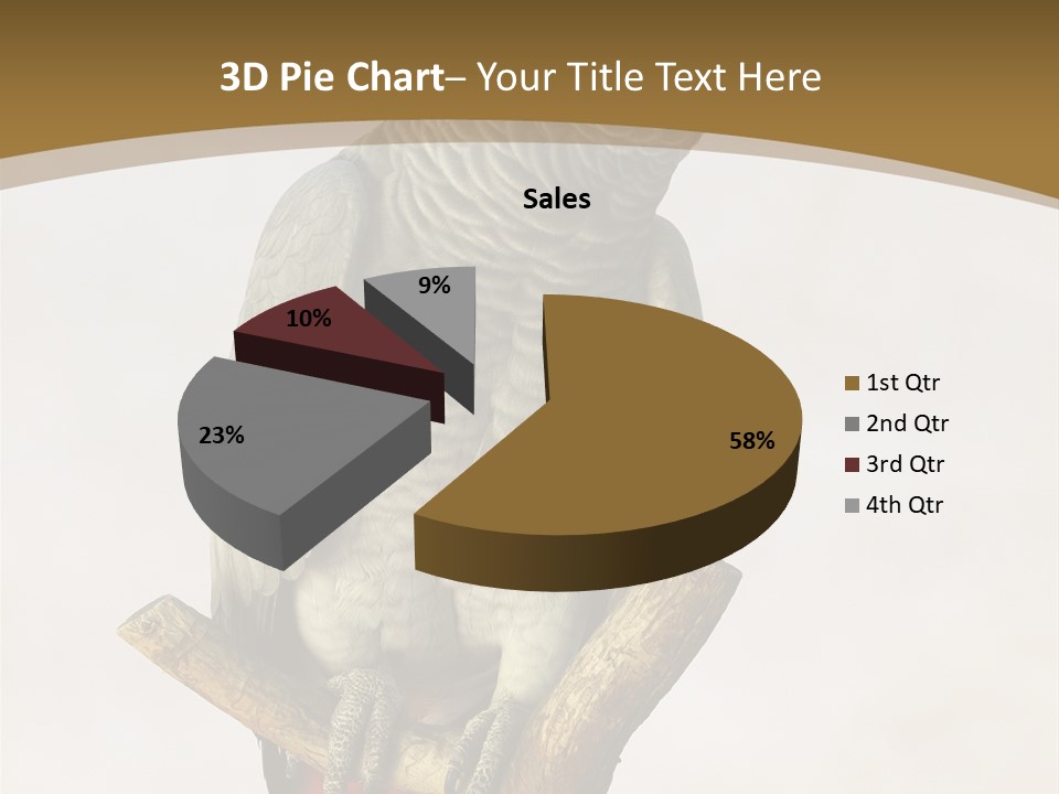 Closeup Attentive Avian PowerPoint Template
