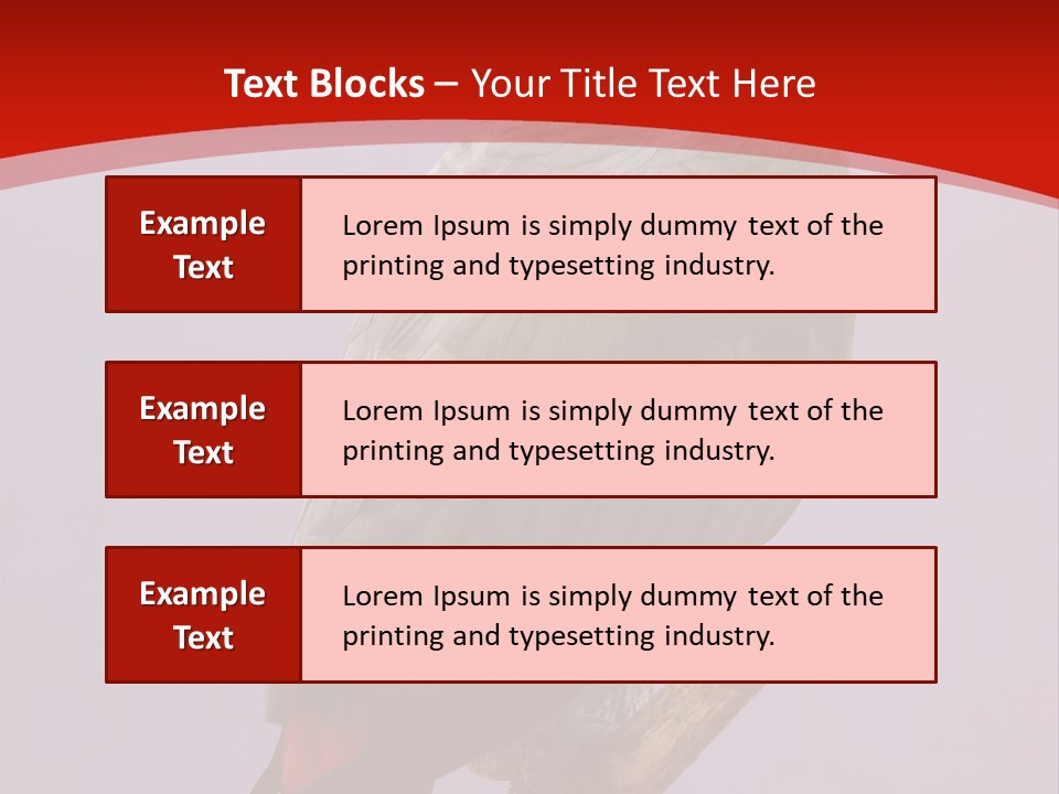 Pet Scream Flight PowerPoint Template