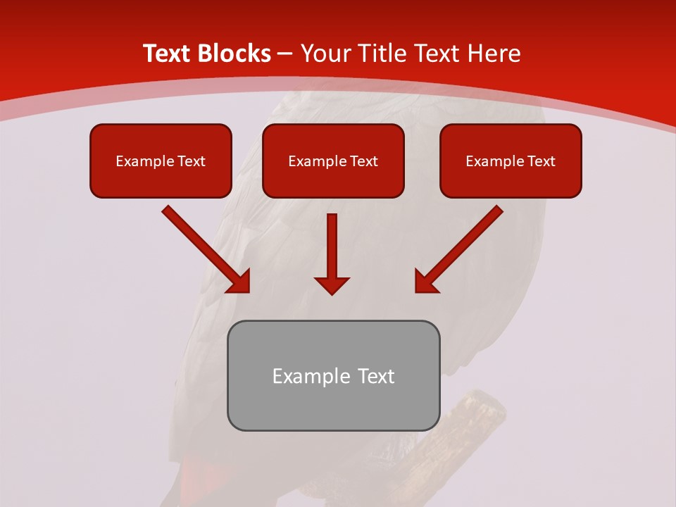 Pet Scream Flight PowerPoint Template