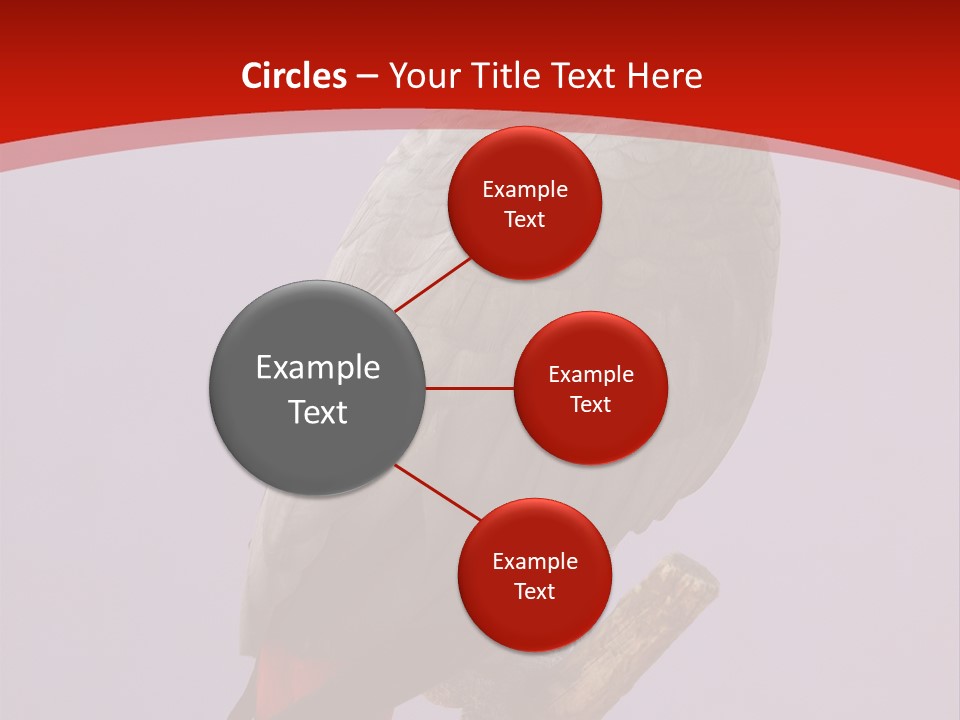 Pet Scream Flight PowerPoint Template