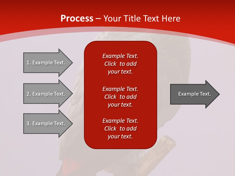 Pet Scream Flight PowerPoint Template