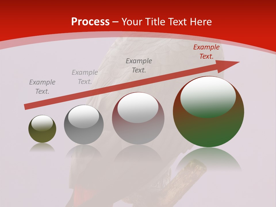 Pet Scream Flight PowerPoint Template