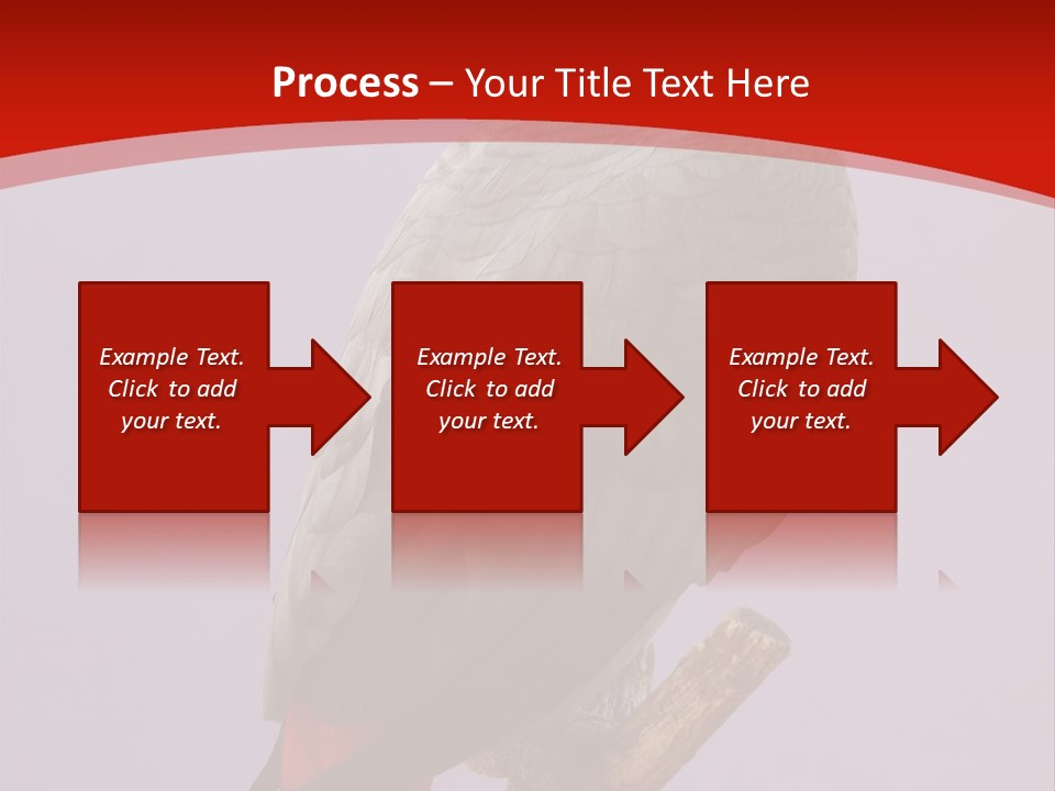 Pet Scream Flight PowerPoint Template