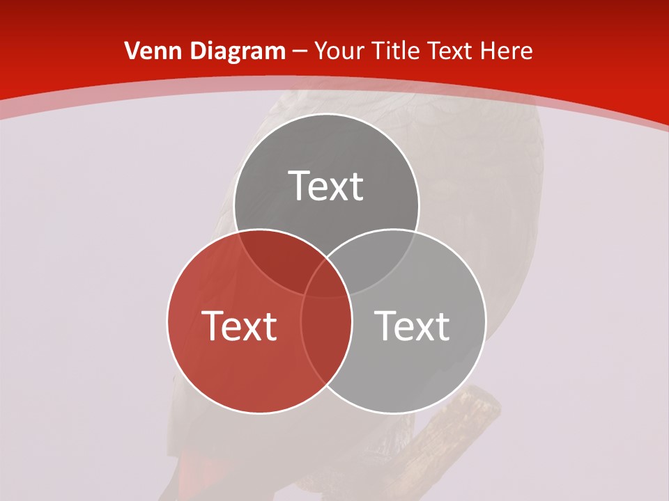 Pet Scream Flight PowerPoint Template