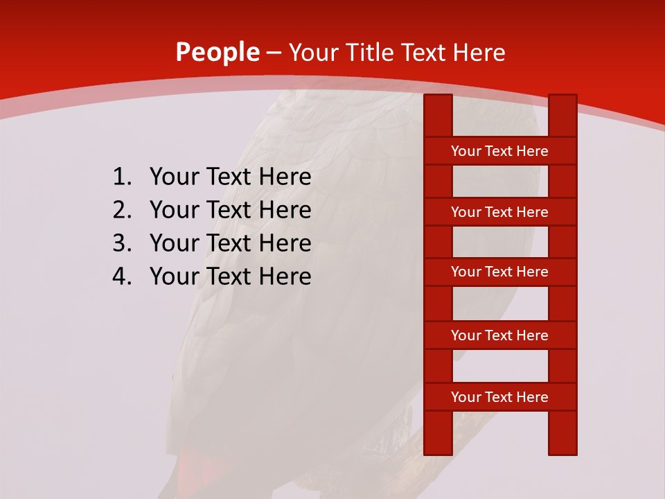 Pet Scream Flight PowerPoint Template