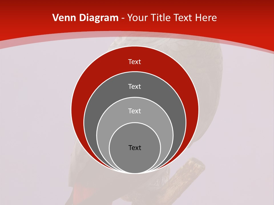 Pet Scream Flight PowerPoint Template