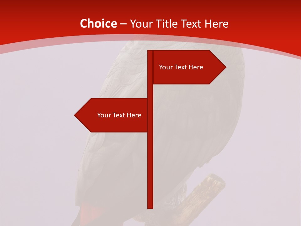 Pet Scream Flight PowerPoint Template