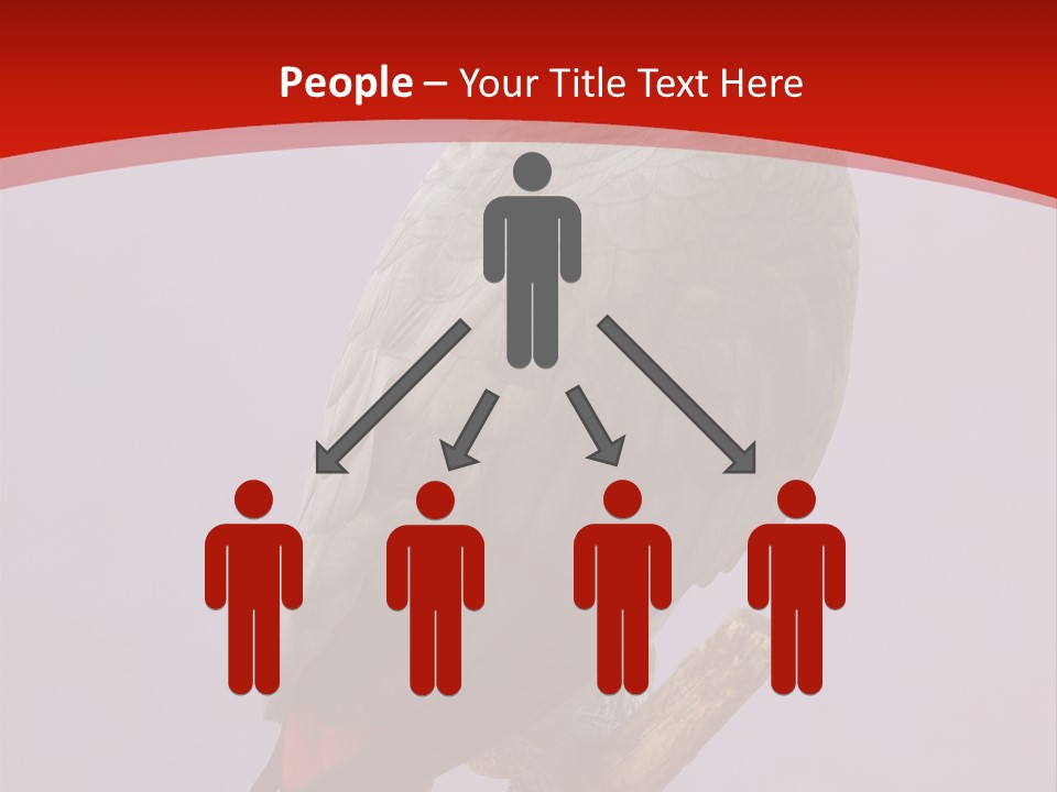 Pet Scream Flight PowerPoint Template