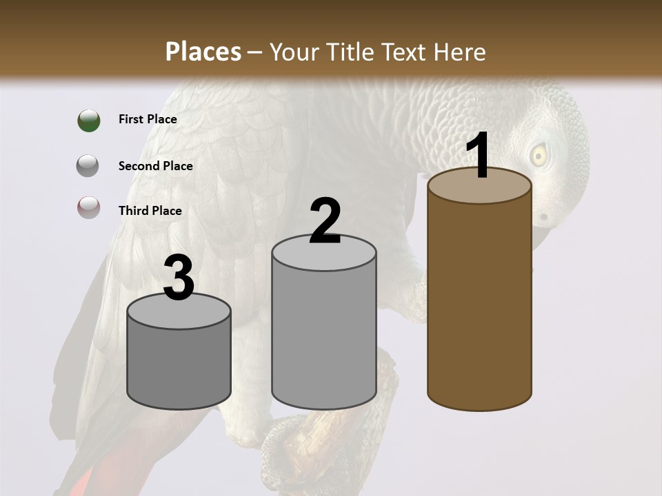 Fluff Mimic Nature PowerPoint Template