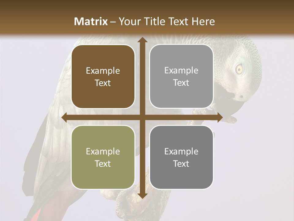 Fluff Mimic Nature PowerPoint Template