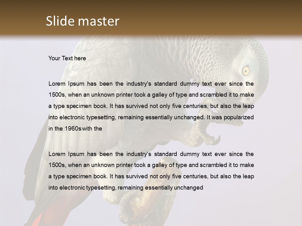 Fluff Mimic Nature PowerPoint Template