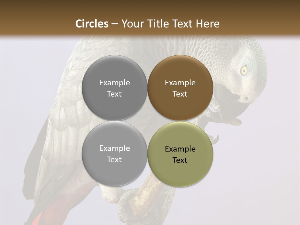 Fluff Mimic Nature PowerPoint Template