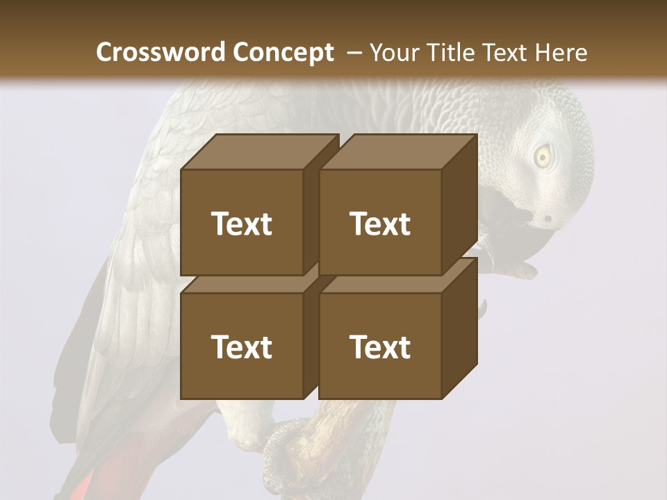 Fluff Mimic Nature PowerPoint Template