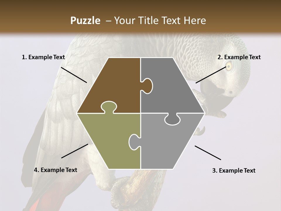 Fluff Mimic Nature PowerPoint Template