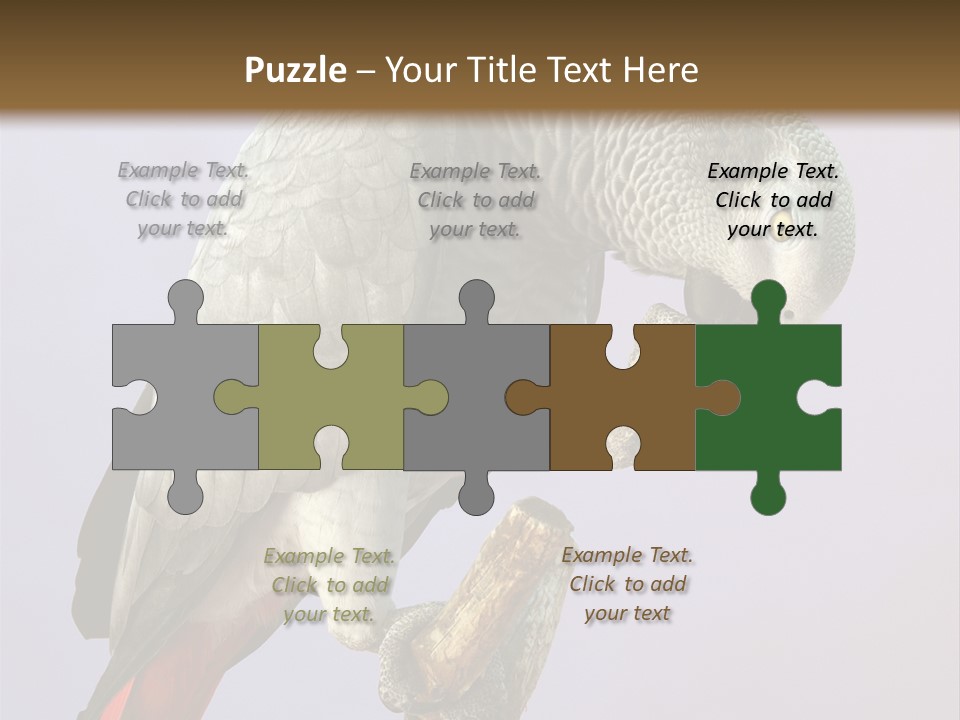 Fluff Mimic Nature PowerPoint Template