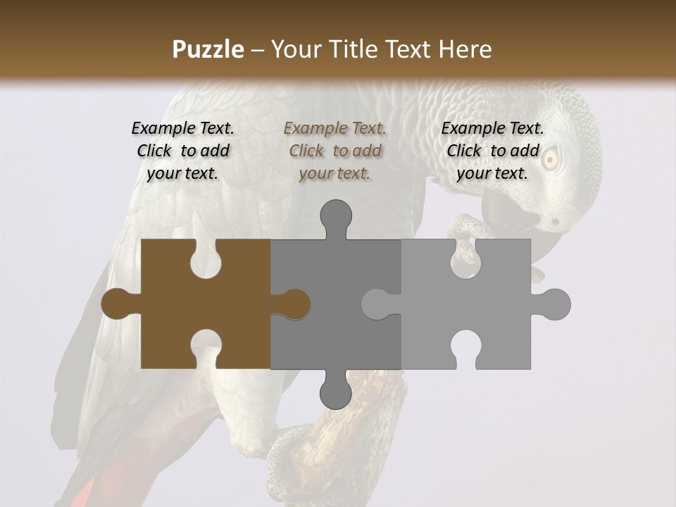 Fluff Mimic Nature PowerPoint Template